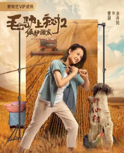 成人自拍视频在线