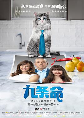 妻子的漫长丑闻