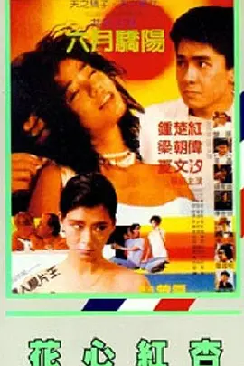 激情视频免费在线