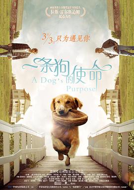 草逼软件