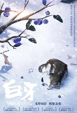 九色91国产