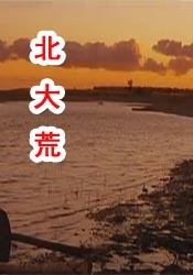 婷婷激情天