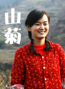 一色一情