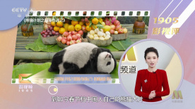 凯伦大尺度做爰未删减